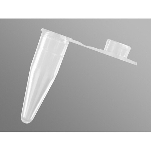 0.2mL PCRチューブ フラットキャ