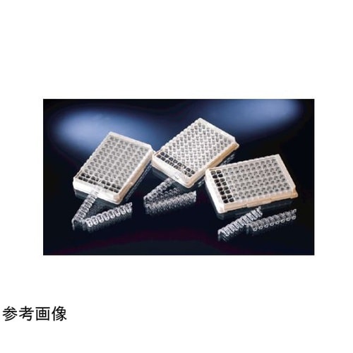 イムノロックウェルモジュールプレート C