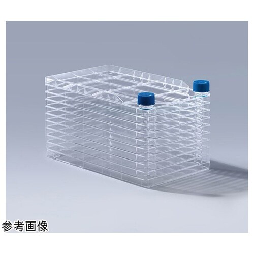 セルファクトリー 10レイヤー 接着細胞