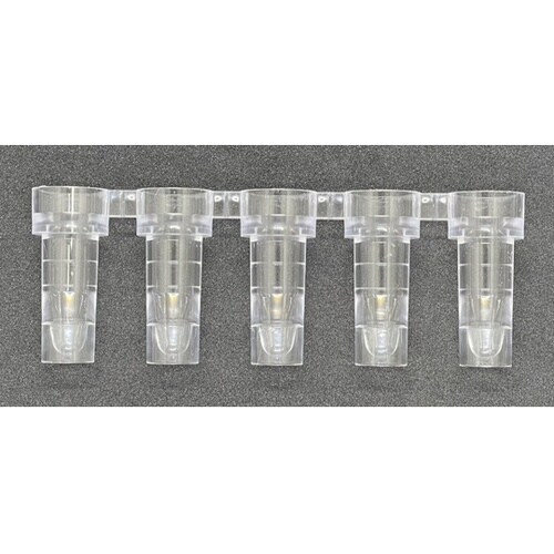 5連日立用サンプルカップ 600個 51