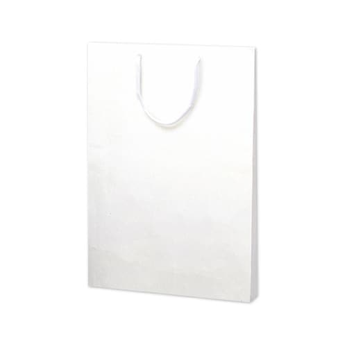 手提げ袋 額縁用 335×45×460m