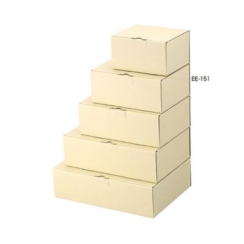宅配用 宅送用ギフト箱 10cm 60枚