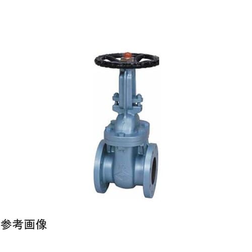 鋳鉄 ゲート(J10−FSRF)呼び径1