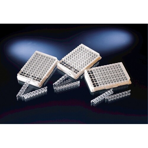 イムノロックウェルモジュールプレート C