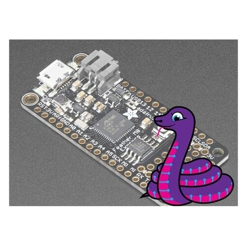 Feather M0 Express(C