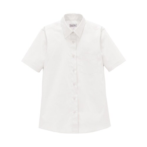 レディスレギュラーカラー半袖ブラウス ホ