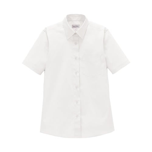 レディスレギュラーカラー半袖ブラウス ホ