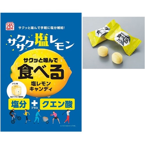 食べる塩レモンキャンディ 約80g×10