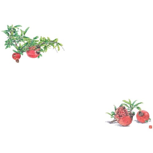 尺3 テーブルマット ザクロ 1組(10