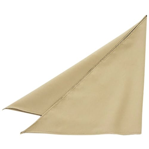 三角巾 ベージュ F EA5354