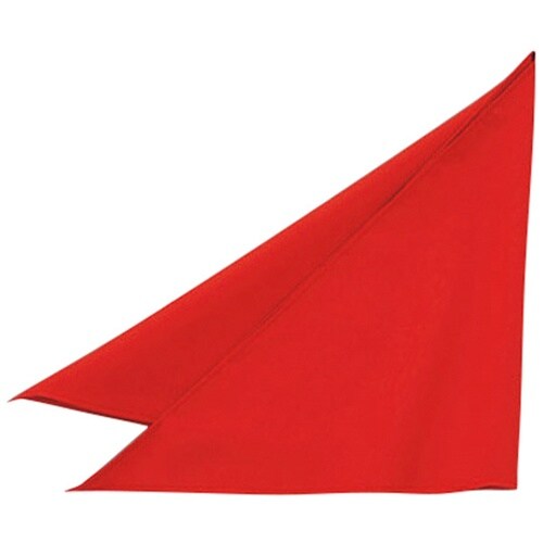 三角巾 レッド F EA5355