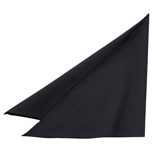 三角巾 ブラック F EA5356