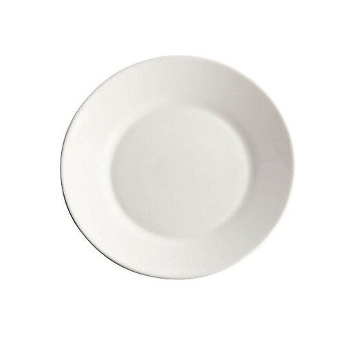 レストラン無地 ディナー皿 φ254mm