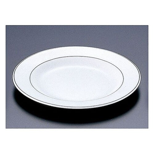 ガストロノミー ミート皿 φ240mm