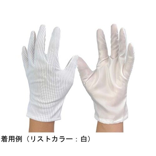 ブツ検 表面検査用手袋(右手)LL 1袋