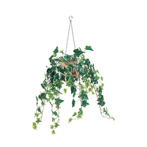 ハンギングポット 250×250×500