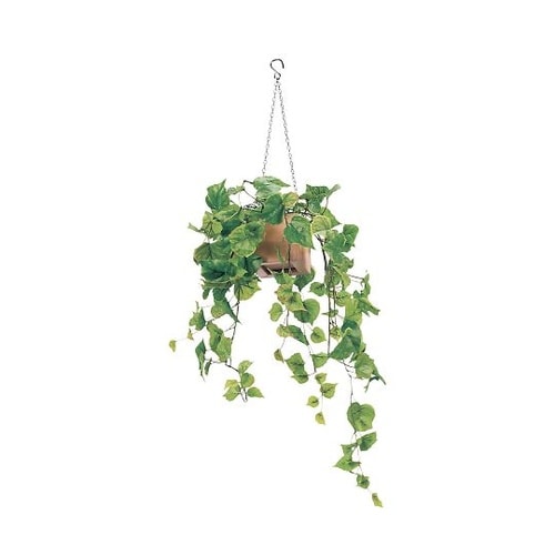 ハンギングポット 250×250×600