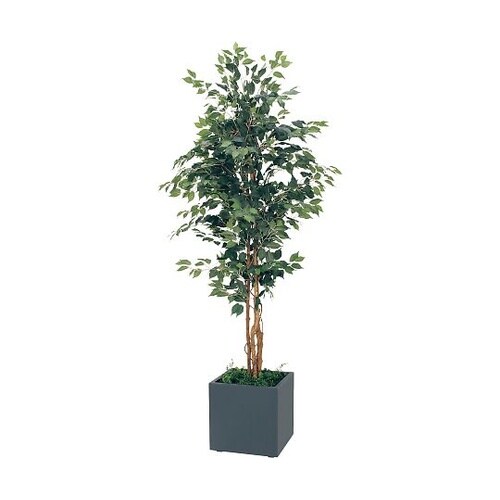 樹木プランター 1000×1000×23