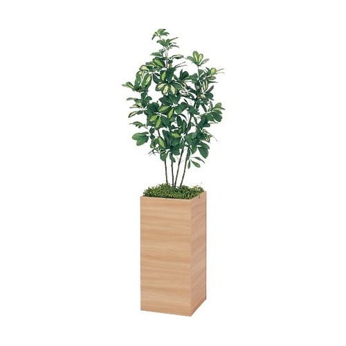 樹木パーテーション スリムタイプ 500