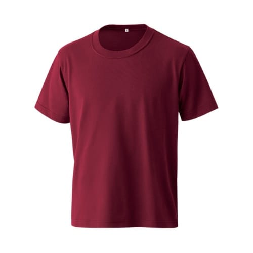 JT302S 国産極みTシャツ バーガン