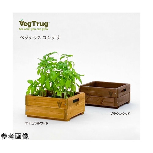 ベジテラスコンテナ ブラウンウッド WS