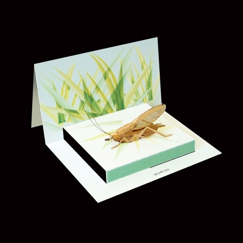 メタルホビー キリギリス×10