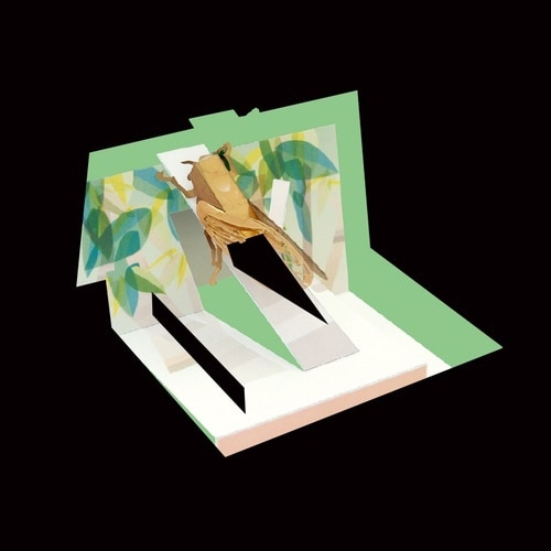 メタルホビー クマゼミ×10