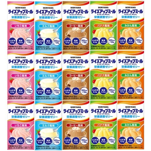 守山乳業 ライズアップミールセット 5種各3個 1