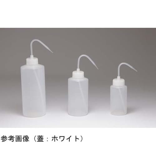 NT洗浄瓶B2 500mL 139020