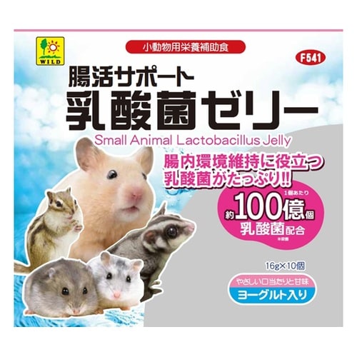 腸活サポート 乳酸菌ゼリー 16g×10