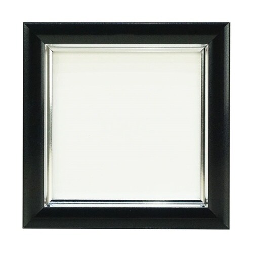 Vカラー肖像額 ましかく PBK VSC