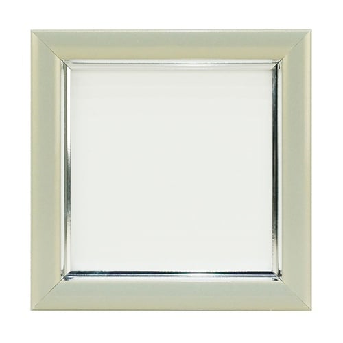 Vカラー肖像額 ましかく PGY VSC