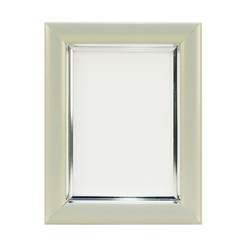 Vカラー肖像額 Lハーフ PGY VSC