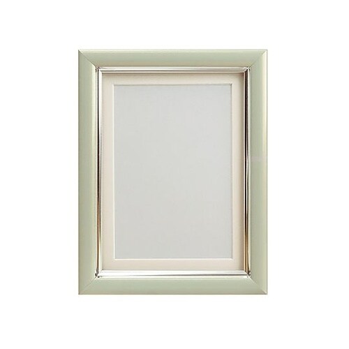 Vカラー肖像額 L判 PGY VSC−L