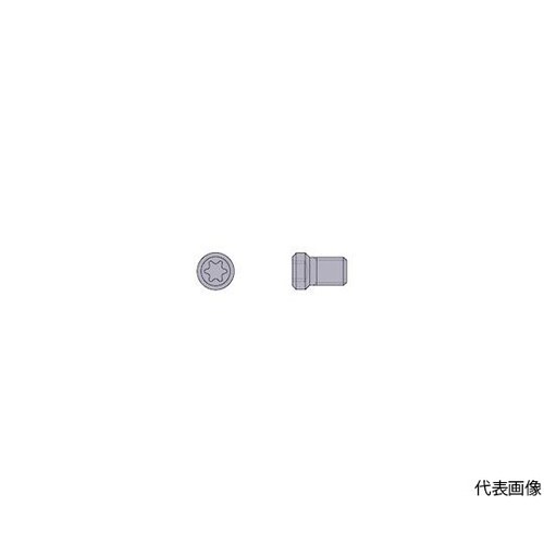 CS250T 部品(クランプねじ)