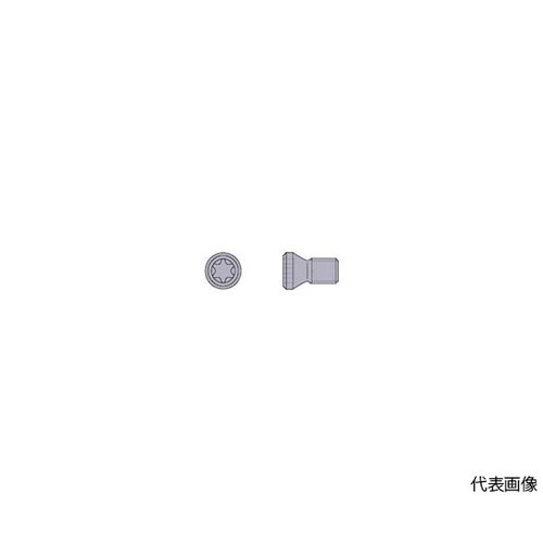 TS16 部品(クランプねじ)