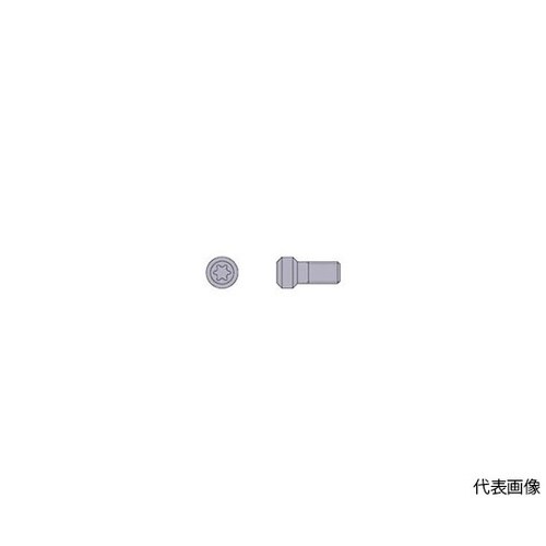 TS2 部品(クランプねじ)