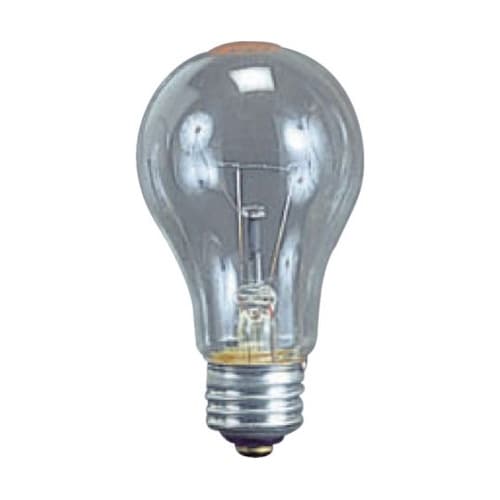 TD100 耐振電球100W