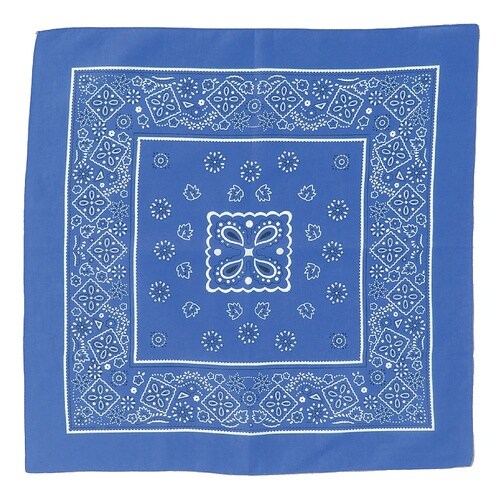 1241 バンダナ青