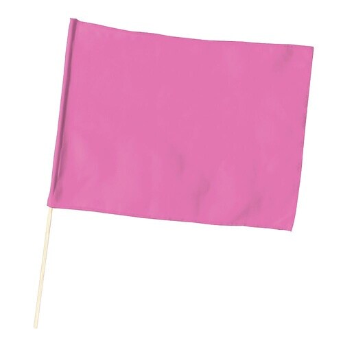 1278 小旗(410×300)桃