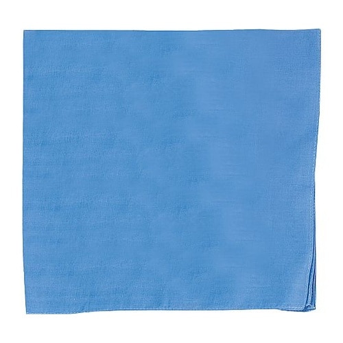 1613 バンダナ無地青