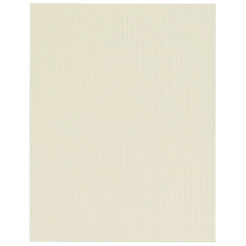 133046 キャンバスボードSXF6