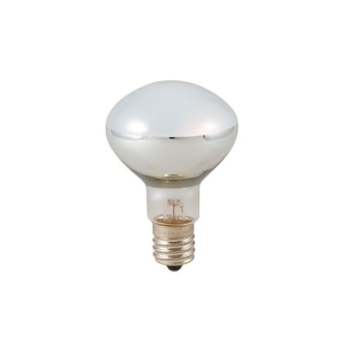 R501750 クリプトン球50W形