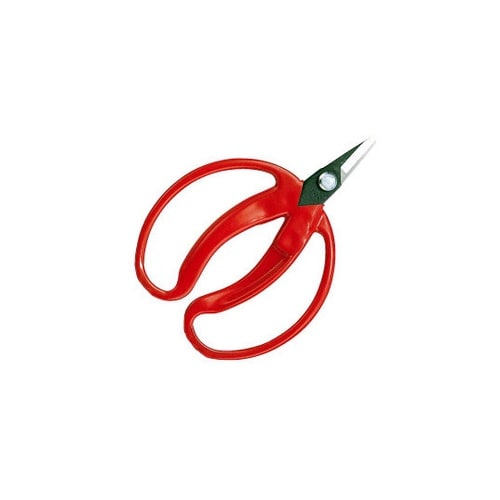 430 みかん採収鋏 小曲 袋入