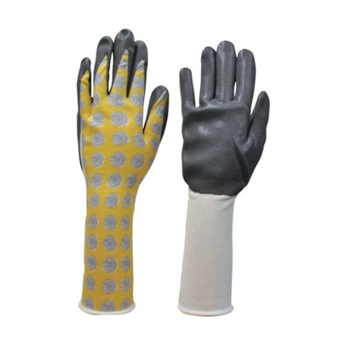 6619ガーデンたんぽぽロングS