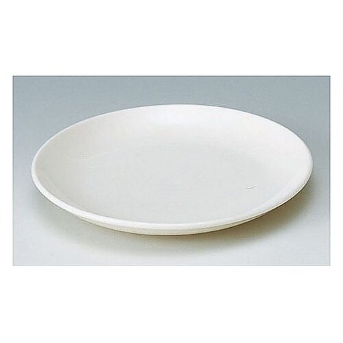 カジュアルウェア浅プレート16.5cm