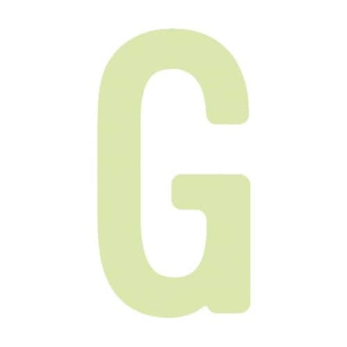 非常用標識 中輝度蓄光カッテイング文字