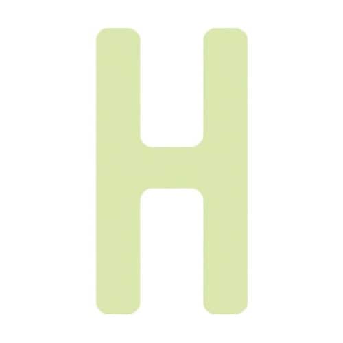 非常用標識 中輝度蓄光カッテイング文字