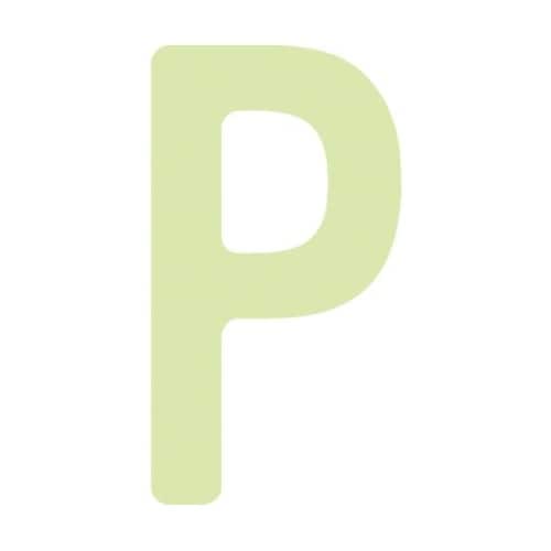 非常用標識 中輝度蓄光カッテイング文字