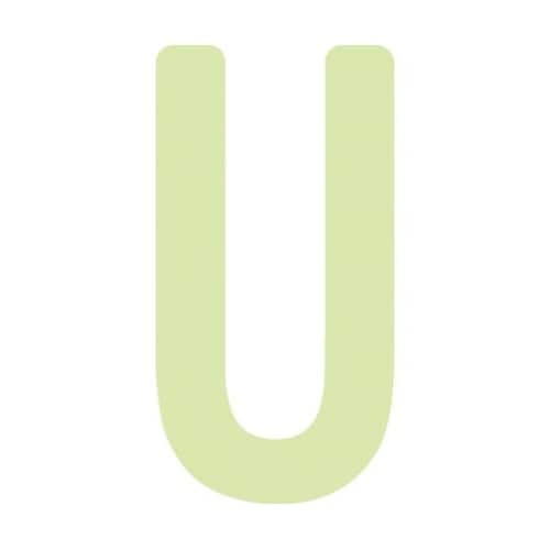 非常用標識 中輝度蓄光カッテイング文字